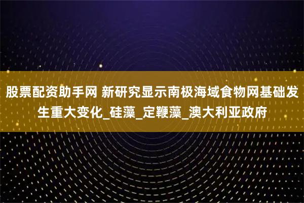 股票配资助手网 新研究显示南极海域食物网基础发生重大变化_硅藻_定鞭藻_澳大利亚政府